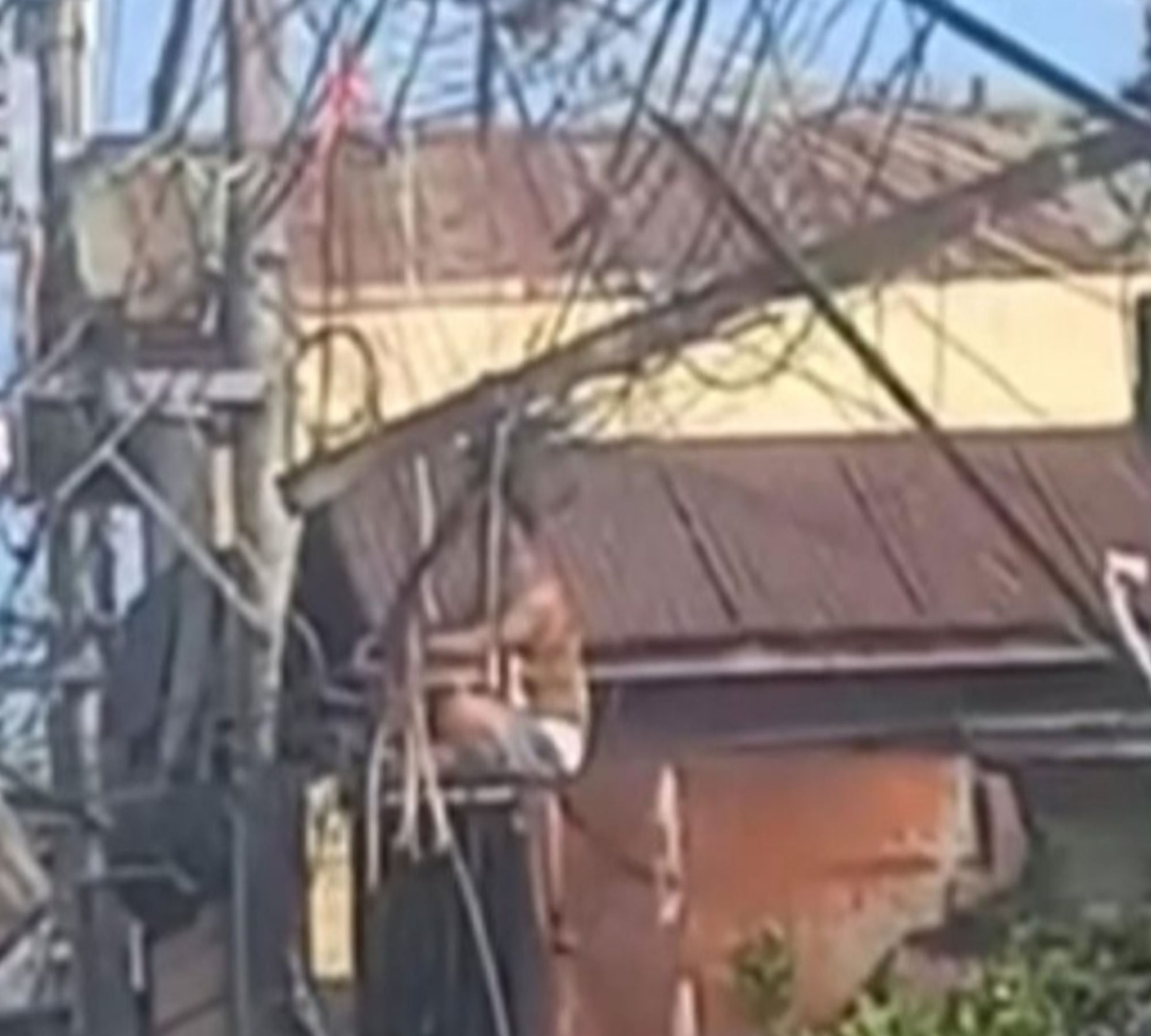 Escaped inmate climbs power pole in Laguna — Desperation or lapse in jail security?
